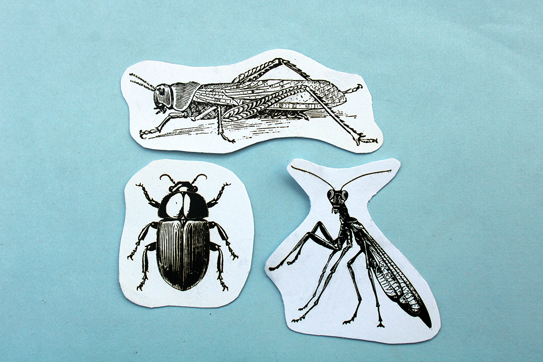 Vintage Letterpress Stickers