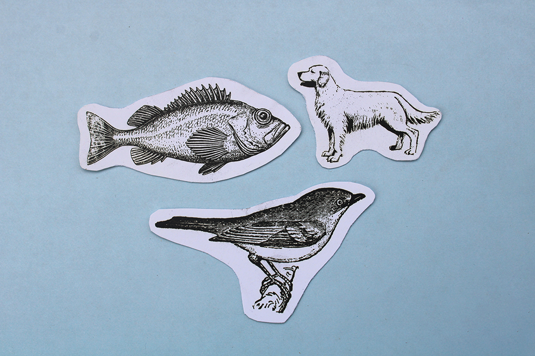 Vintage Letterpress Stickers